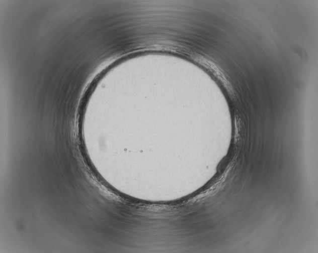 X0000111590780200908271008