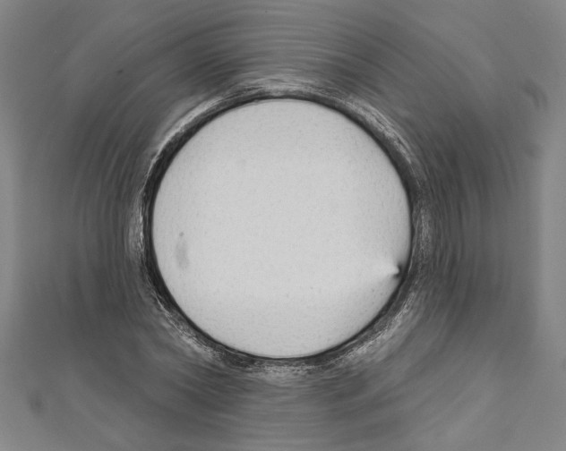 X0000111590782200908271008