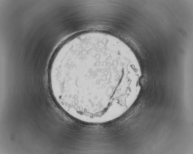 X0000111590784200908271008