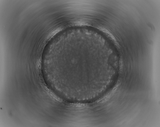 X0000111590785200908271008