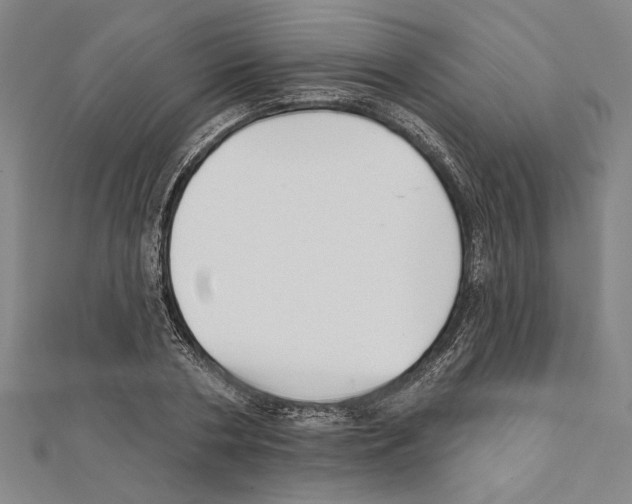 X0000111590786200908271008
