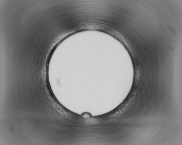 X0000111590787200908271008