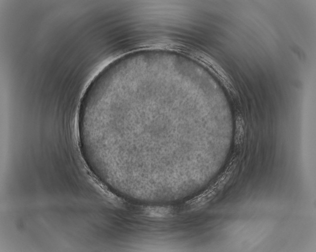 X0000111590788200908271008