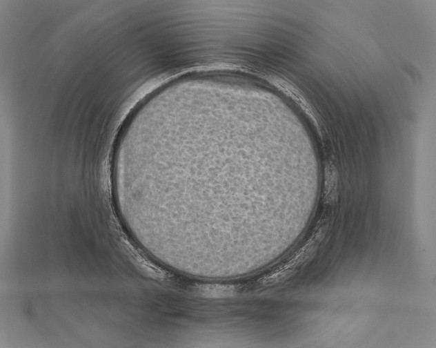 X0000111590789200908271008