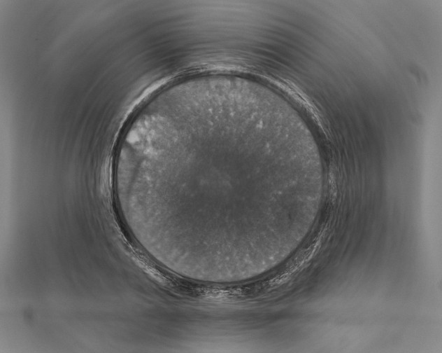 X0000111590790200908271008