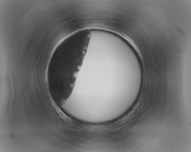 X0000111590791200908271008