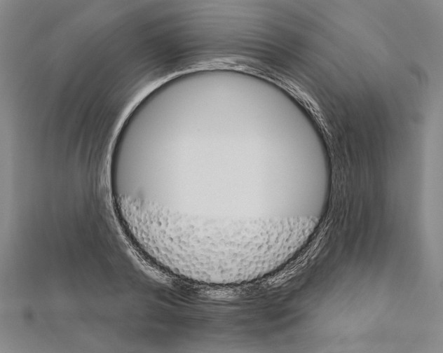 X0000111590792200908271008