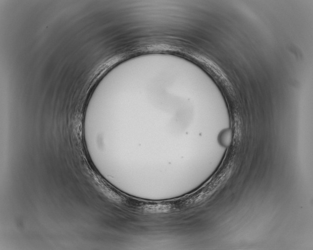 X0000111590793200908271008
