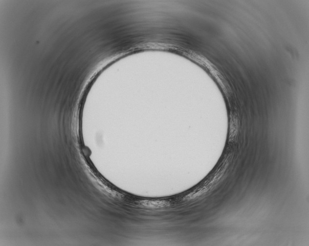 X0000111590795200908271008