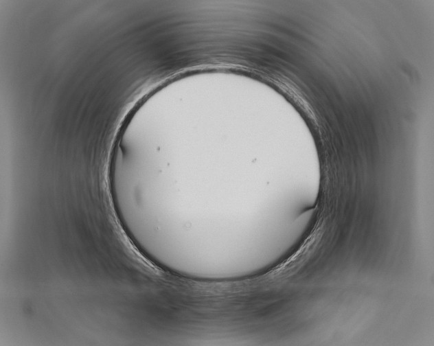 X0000111590797200908271008