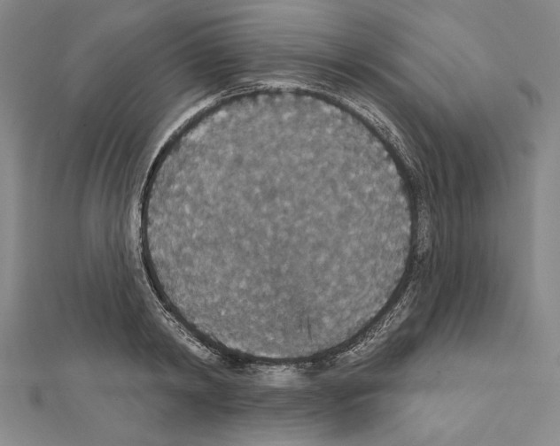 X0000111590798200908271008