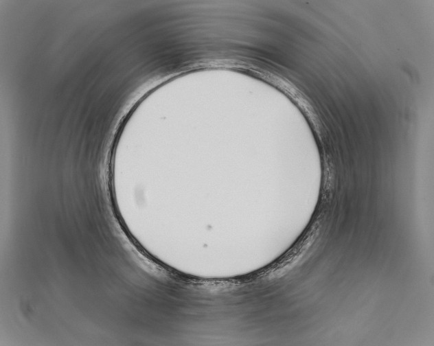 X0000111590803200908271008