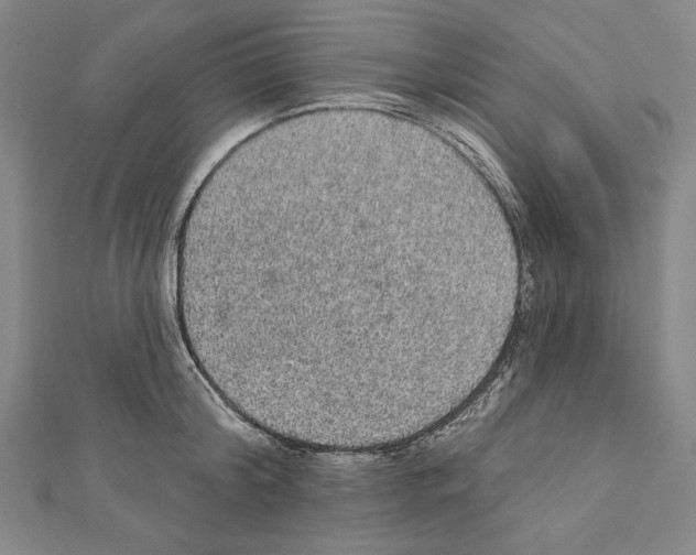 X0000111590804200908271008
