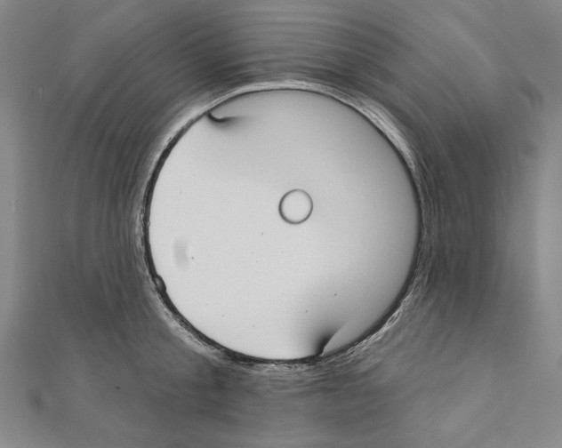 X0000111590805200908271008