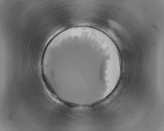 X0000111590806200908271008