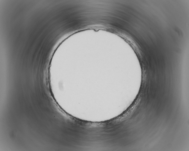 X0000111590808200908271008