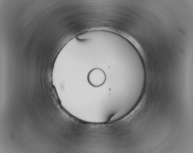 X0000111590809200908271008
