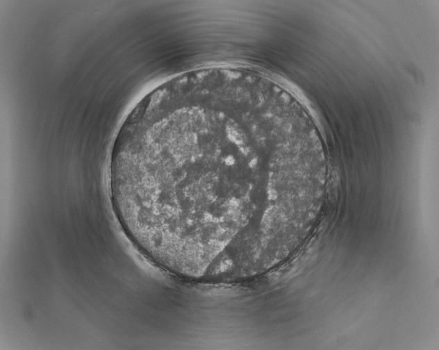 X0000111590811200908271008