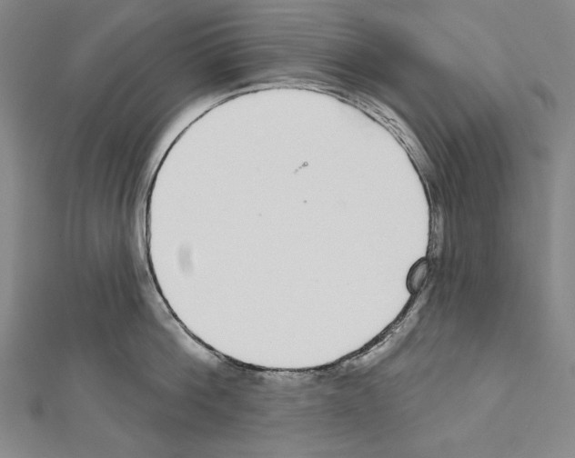 X0000111590812200908271008