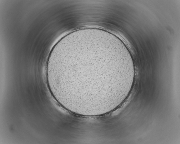 X0000111590814200908271008