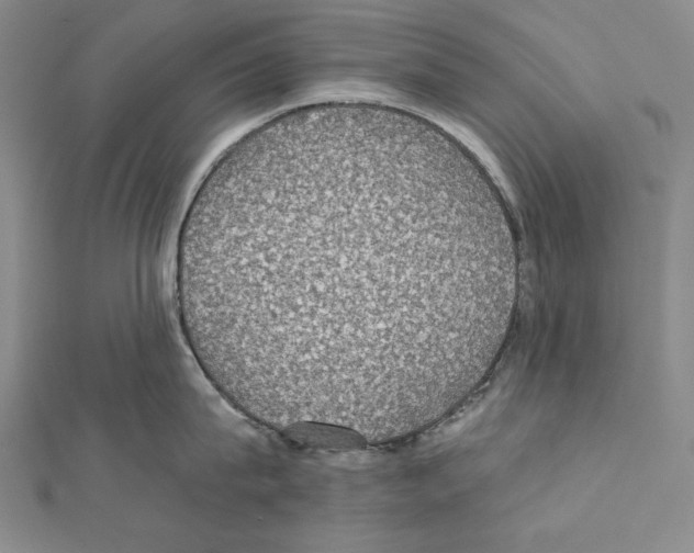 X0000111590815200908271008