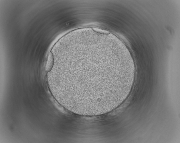 X0000111590816200908271008