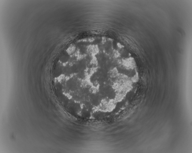 X0000111590817200908271007