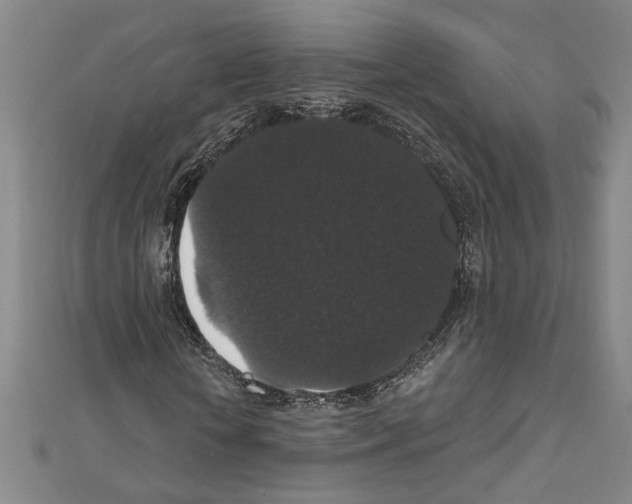 X0000111590818200908271007