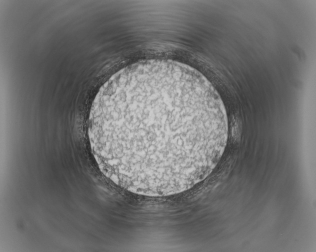 X0000111590819200908271007