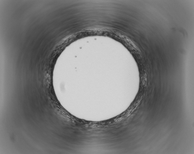 X0000111590821200908271007