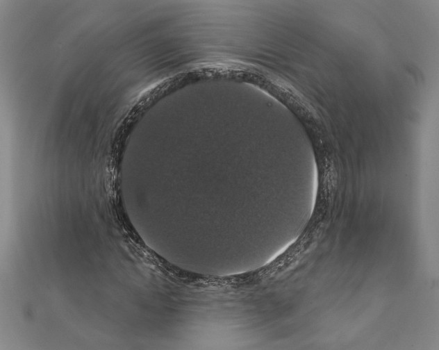 X0000111590822200908271007