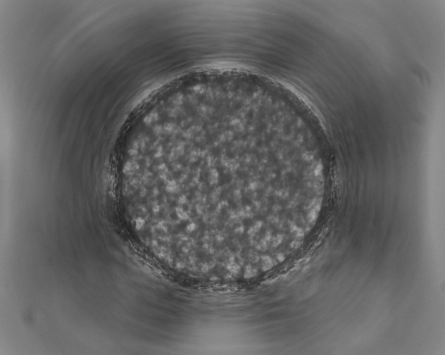 X0000111590823200908271007