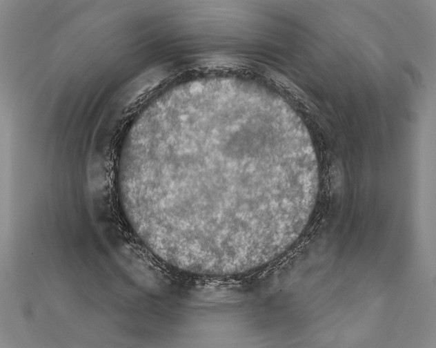 X0000111590824200908271007