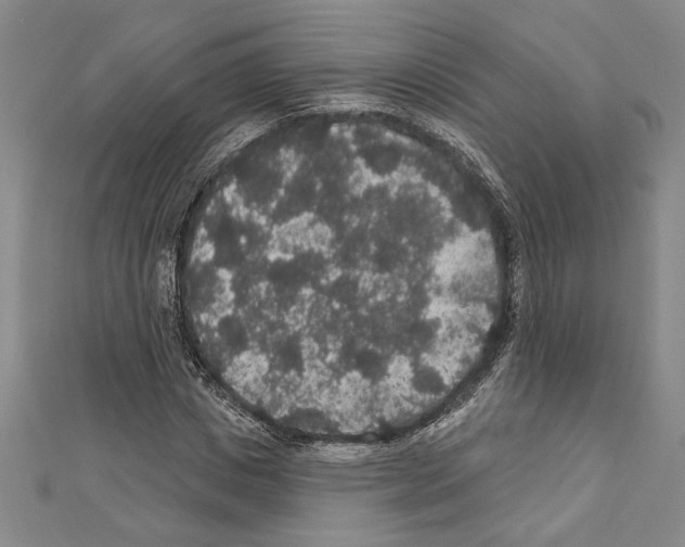 X0000111590825200908271007