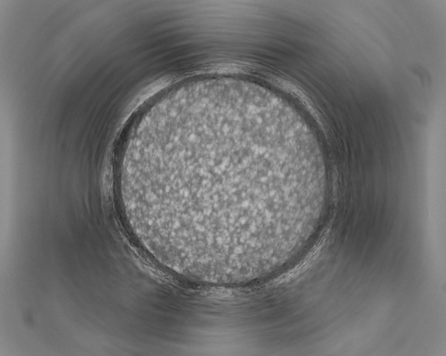 X0000111590827200908271007