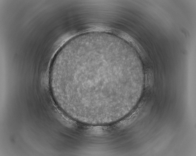 X0000111590828200908271007