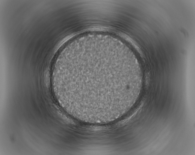 X0000111590829200908271007