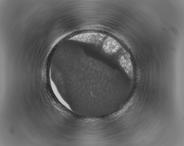 X0000111590830200908271007
