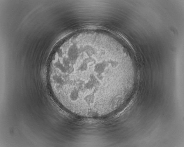 X0000111590831200908271007