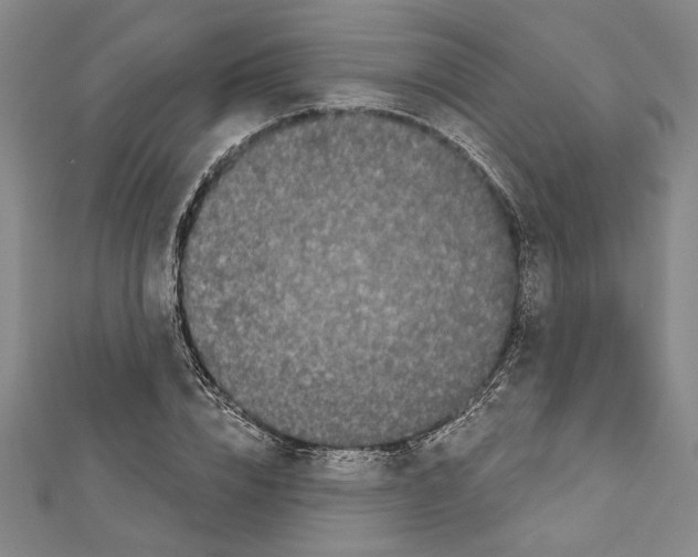 X0000111590832200908271007