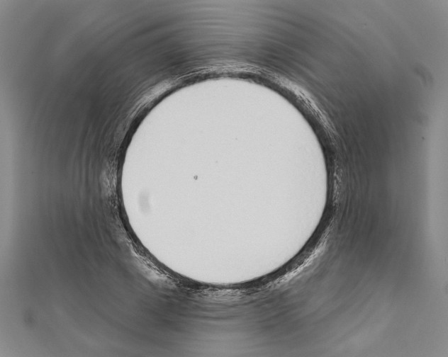 X0000111590833200908271007