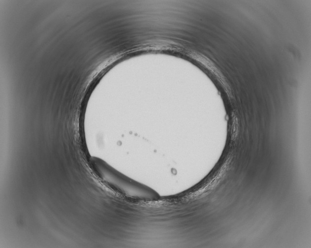X0000111590834200908271007