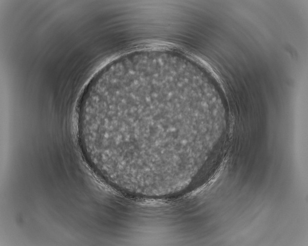 X0000111590835200908271007