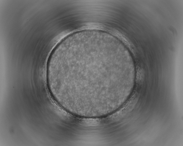X0000111590836200908271007