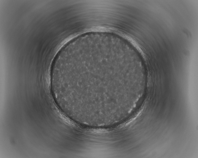 X0000111590837200908271007