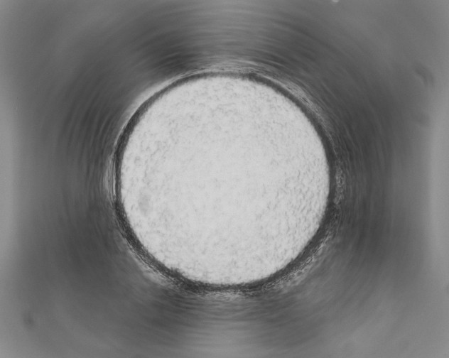 X0000111590838200908271008
