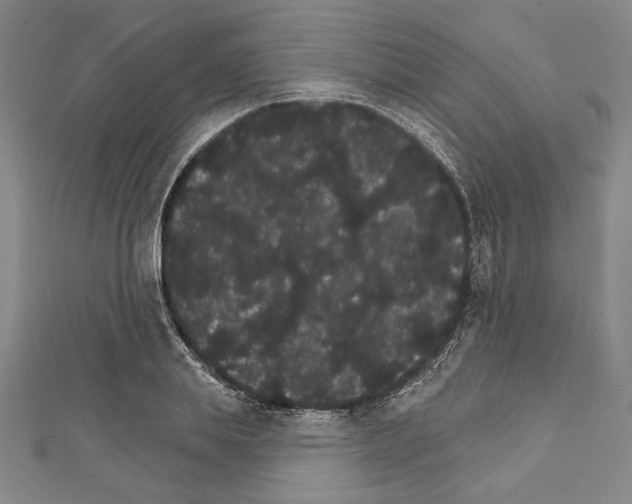X0000111590839200908271008