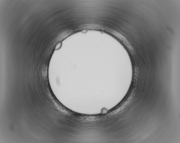 X0000111590841200908271008