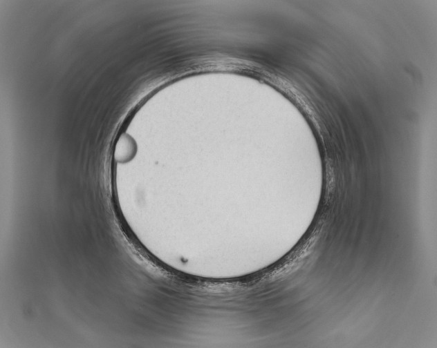 X0000111590843200908271008