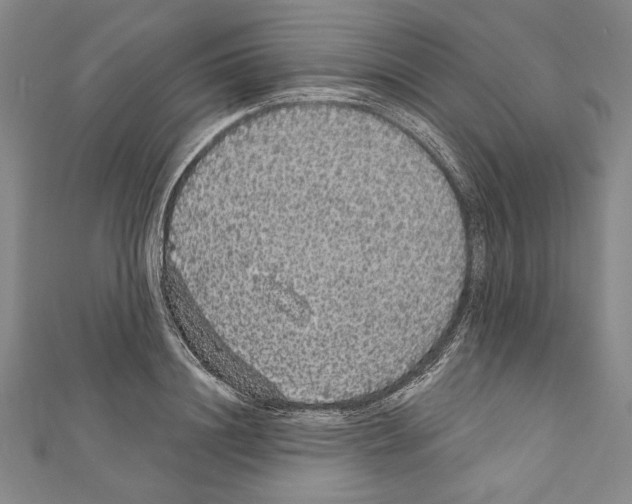X0000111590844200908271008
